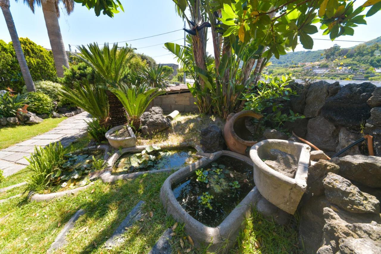 Villa Stefania Barano d'Ischia ภายนอก รูปภาพ