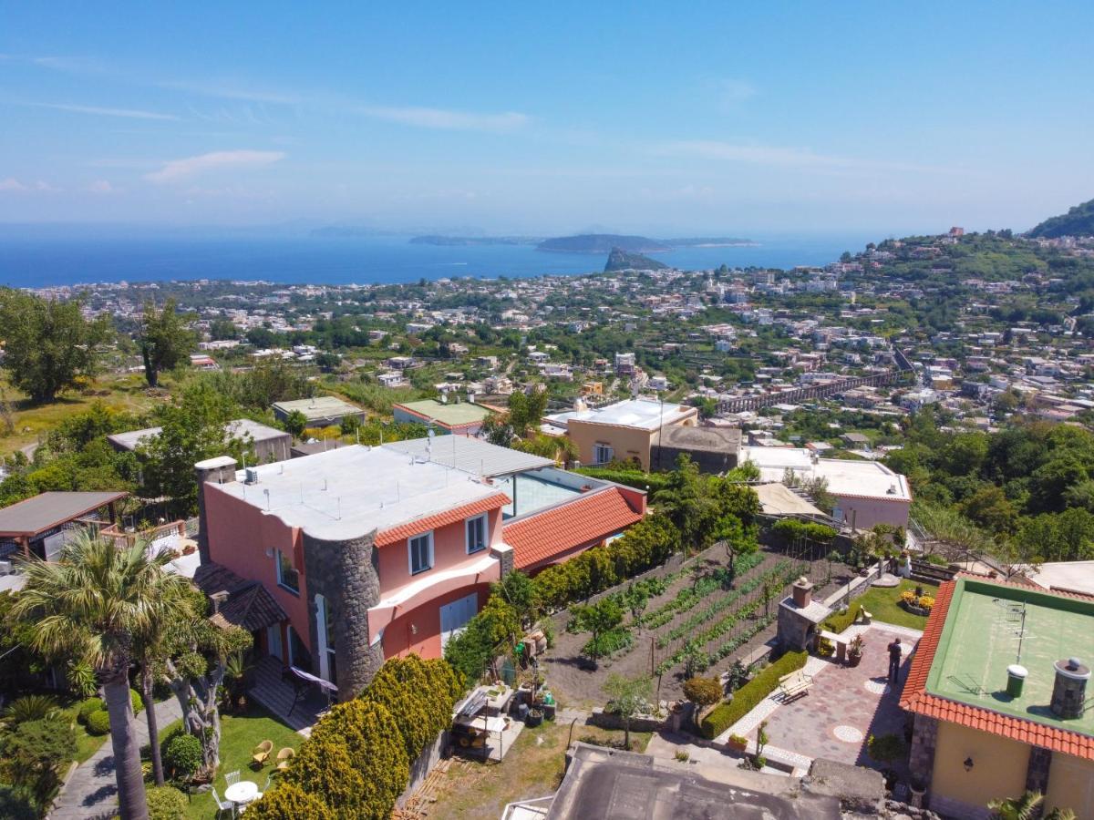 Villa Stefania Barano d'Ischia ภายนอก รูปภาพ